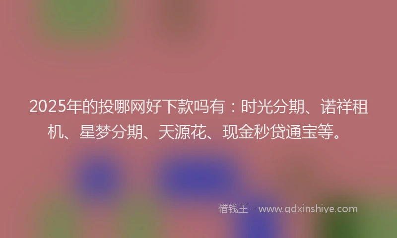 2025年的投哪网好下款吗有：时光分期、诺祥租机、星梦分期、天源花、现金秒贷通宝等。