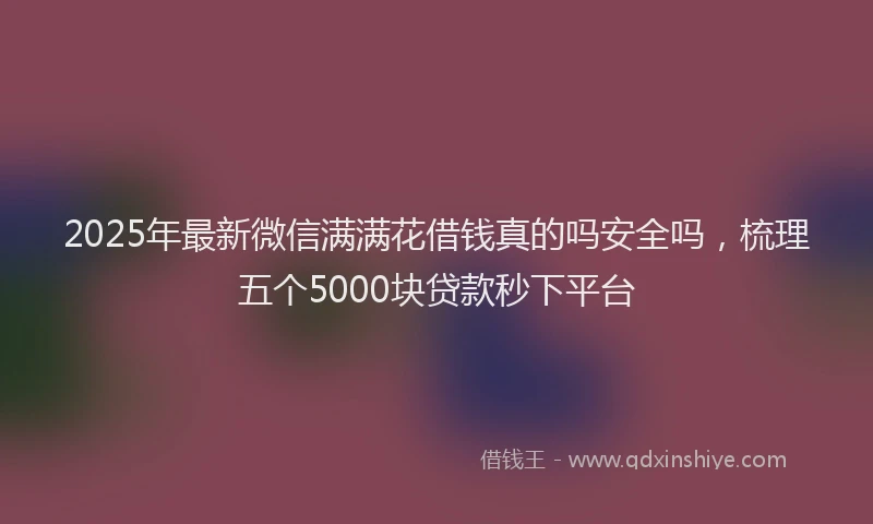 2025年最新微信满满花借钱真的吗安全吗，梳理五个5000块贷款秒下平台