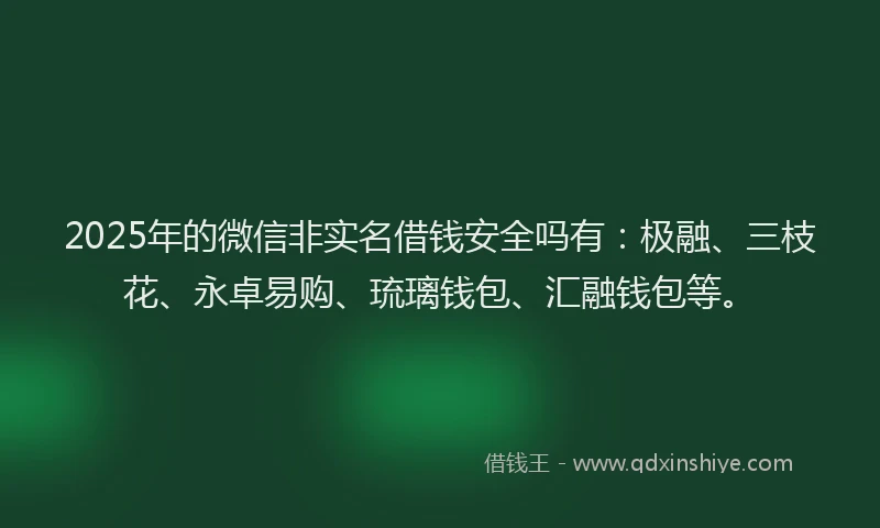 2025年的微信非实名借钱安全吗有：极融、三枝花、永卓易购、琉璃钱包、汇融钱包等。