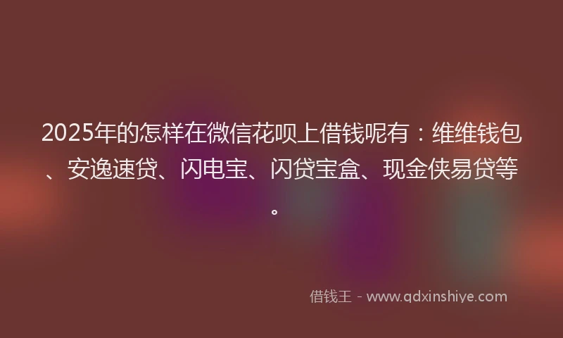 2025年的怎样在微信花呗上借钱呢有：维维钱包、安逸速贷、闪电宝、闪贷宝盒、现金侠易贷等。
