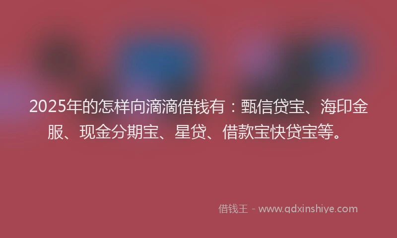 2025年的怎样向滴滴借钱有：甄信贷宝、海印金服、现金分期宝、星贷、借款宝快贷宝等。
