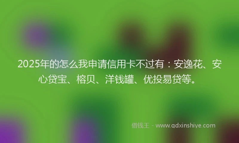 2025年的怎么我申请信用卡不过有：安逸花、安心贷宝、榕贝、洋钱罐、优投易贷等。