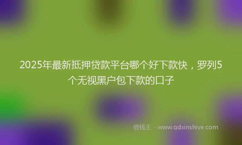 2025年最新抵押贷款平台哪个好下款快，罗列5个无视黑户包下款的口子