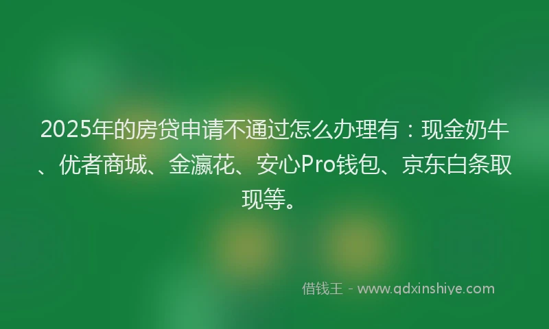 2025年的房贷申请不通过怎么办理有：现金奶牛、优者商城、金瀛花、安心Pro钱包、京东白条取现等。