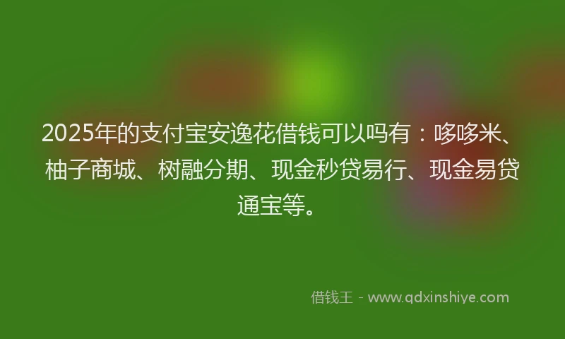 2025年的支付宝安逸花借钱可以吗有：哆哆米、柚子商城、树融分期、现金秒贷易行、现金易贷通宝等。