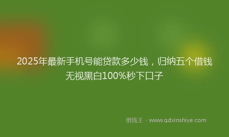 2025年最新手机号能贷款多少钱，归纳五个借钱无视黑白100%秒下口子