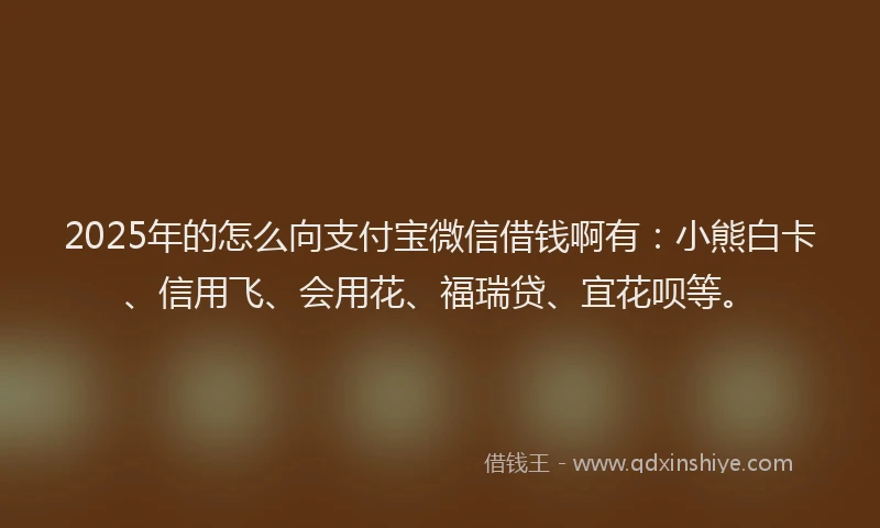 2025年的怎么向支付宝微信借钱啊有：小熊白卡、信用飞、会用花、福瑞贷、宜花呗等。