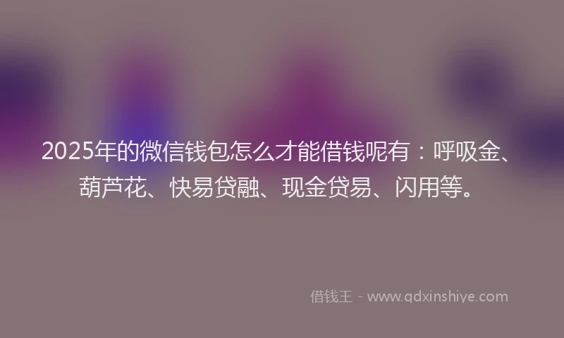 2025年的微信钱包怎么才能借钱呢有：呼吸金、葫芦花、快易贷融、现金贷易、闪用等。