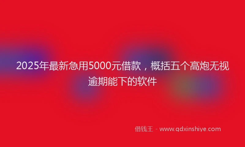 2025年最新急用5000元借款，概括五个高炮无视逾期能下的软件