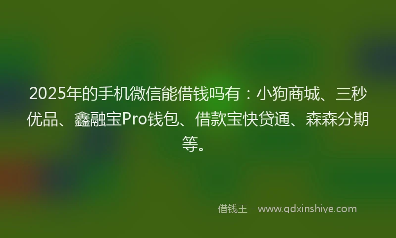 2025年的手机微信能借钱吗有：小狗商城、三秒优品、鑫融宝Pro钱包、借款宝快贷通、森森分期等。