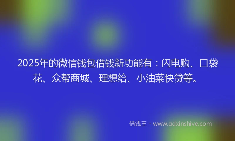 2025年的微信钱包借钱新功能有：闪电购、口袋花、众帮商城、理想给、小油菜快贷等。
