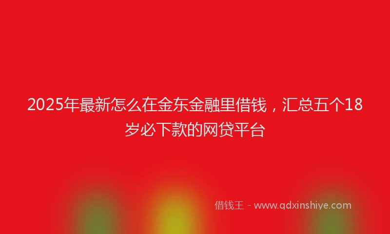 2025年最新怎么在金东金融里借钱，汇总五个18岁必下款的网贷平台