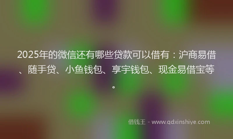 2025年的微信还有哪些贷款可以借有：沪商易借、随手贷、小鱼钱包、享宇钱包、现金易借宝等。