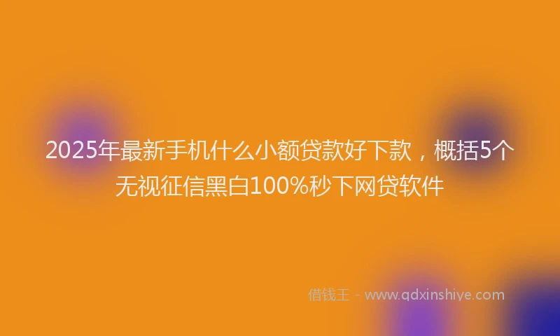 2025年最新手机什么小额贷款好下款，概括5个无视征信黑白100%秒下网贷软件