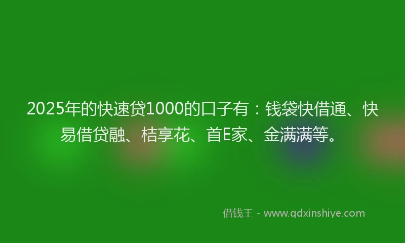 2025年的快速贷1000的口子有：钱袋快借通、快易借贷融、桔享花、首E家、金满满等。