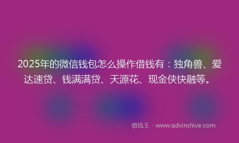 2025年的微信钱包怎么操作借钱有：独角兽、爱达速贷、钱满满贷、天源花、现金侠快融等。