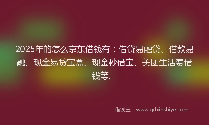 2025年的怎么京东借钱有：借贷易融贷、借款易融、现金易贷宝盒、现金秒借宝、美团生活费借钱等。