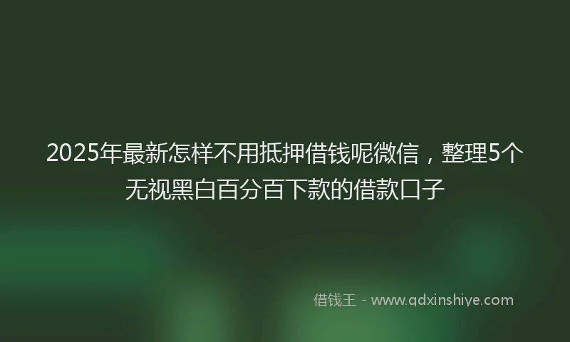 2025年最新怎样不用抵押借钱呢微信，整理5个无视黑白百分百下款的借款口子