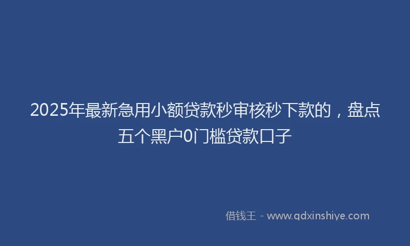 2025年最新急用小额贷款秒审核秒下款的，盘点五个黑户0门槛贷款口子