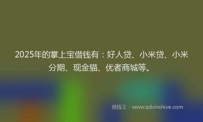 2025年的掌上宝借钱有：好人贷、小米贷、小米分期、现金猫、优者商城等。