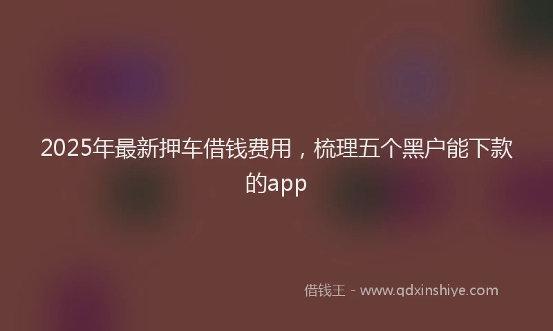 2025年最新押车借钱费用，梳理五个黑户能下款的app