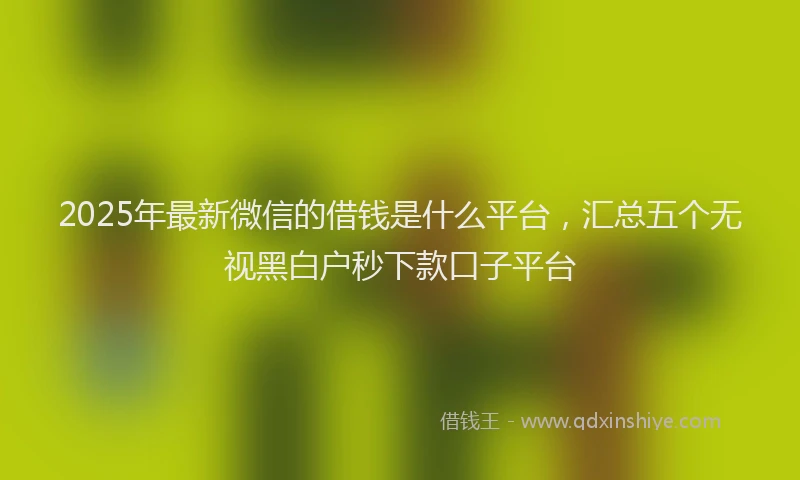 2025年最新微信的借钱是什么平台，汇总五个无视黑白户秒下款口子平台