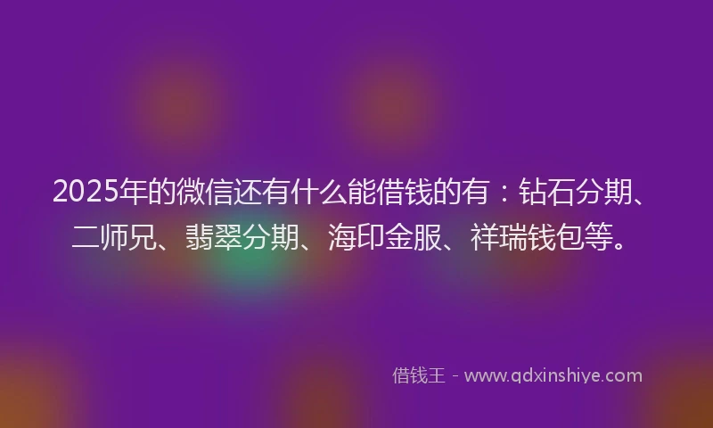 2025年的微信还有什么能借钱的有：钻石分期、二师兄、翡翠分期、海印金服、祥瑞钱包等。
