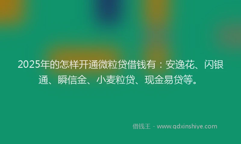 2025年的怎样开通微粒贷借钱有：安逸花、闪银通、瞬信金、小麦粒贷、现金易贷等。