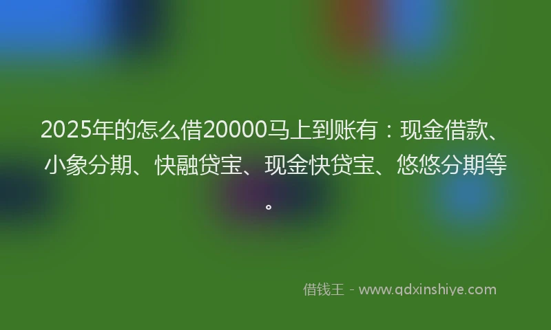 2025年的怎么借20000马上到账有：现金借款、小象分期、快融贷宝、现金快贷宝、悠悠分期等。