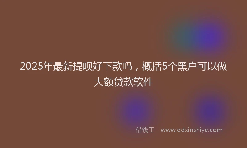 2025年最新提呗好下款吗，概括5个黑户可以做大额贷款软件