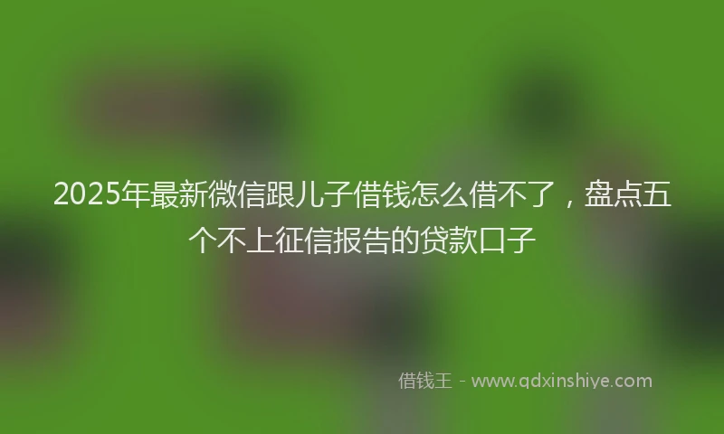 2025年最新微信跟儿子借钱怎么借不了，盘点五个不上征信报告的贷款口子