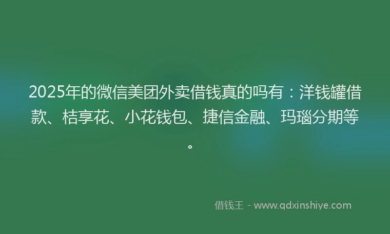 2025年的微信美团外卖借钱真的吗有：洋钱罐借款、桔享花、小花钱包、捷信金融、玛瑙分期等。