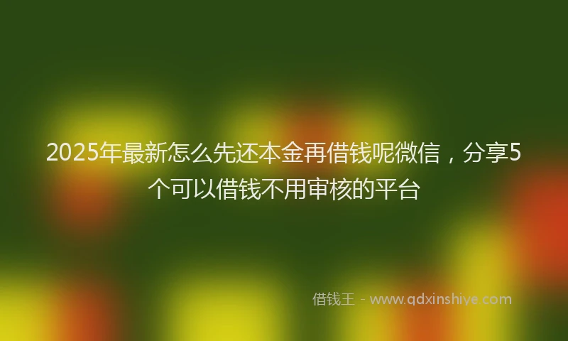 2025年最新怎么先还本金再借钱呢微信，分享5个可以借钱不用审核的平台
