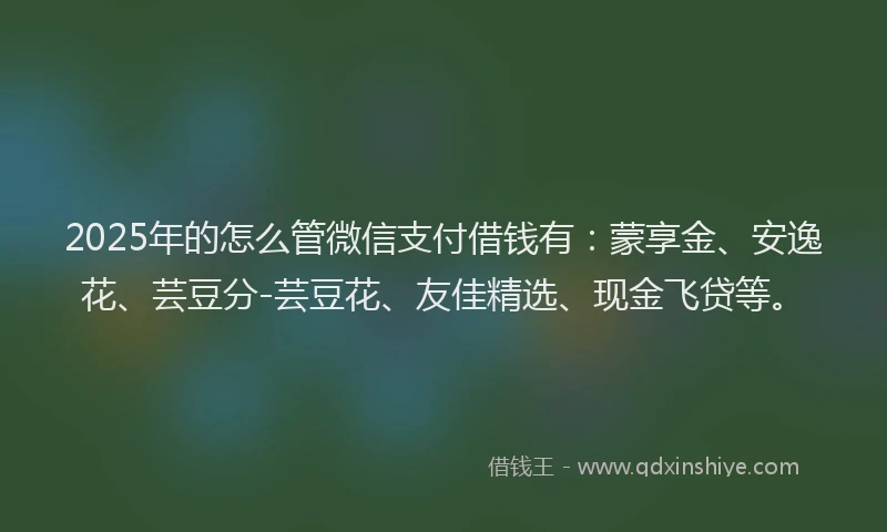 2025年的怎么管微信支付借钱有：蒙享金、安逸花、芸豆分-芸豆花、友佳精选、现金飞贷等。