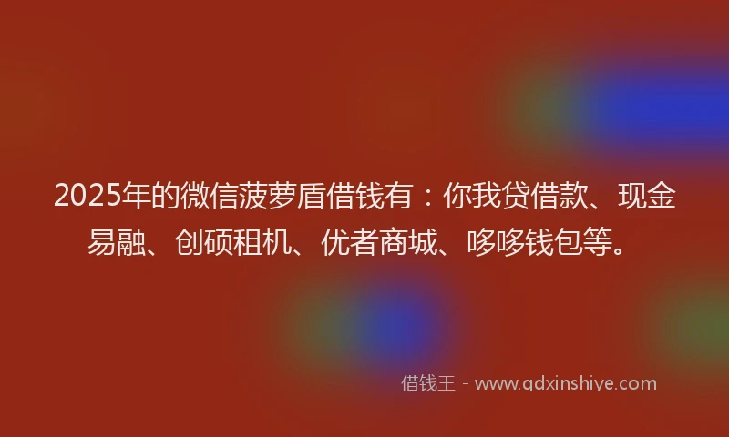 2025年的微信菠萝盾借钱有：你我贷借款、现金易融、创硕租机、优者商城、哆哆钱包等。