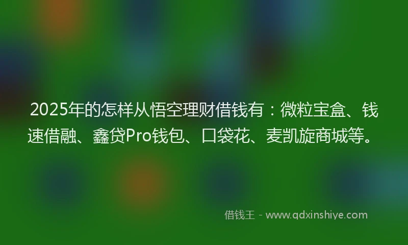 2025年的怎样从悟空理财借钱有：微粒宝盒、钱速借融、鑫贷Pro钱包、口袋花、麦凯旋商城等。