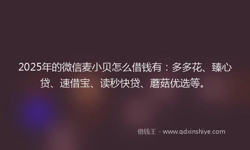 2025年的微信麦小贝怎么借钱有：多多花、臻心贷、速借宝、读秒快贷、蘑菇优选等。