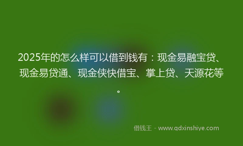 2025年的怎么样可以借到钱有：现金易融宝贷、现金易贷通、现金侠快借宝、掌上贷、天源花等。
