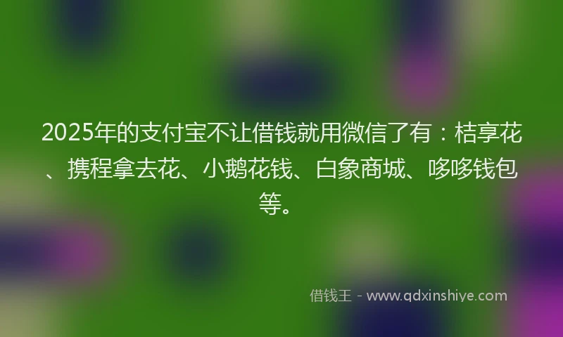 2025年的支付宝不让借钱就用微信了有：桔享花、携程拿去花、小鹅花钱、白象商城、哆哆钱包等。