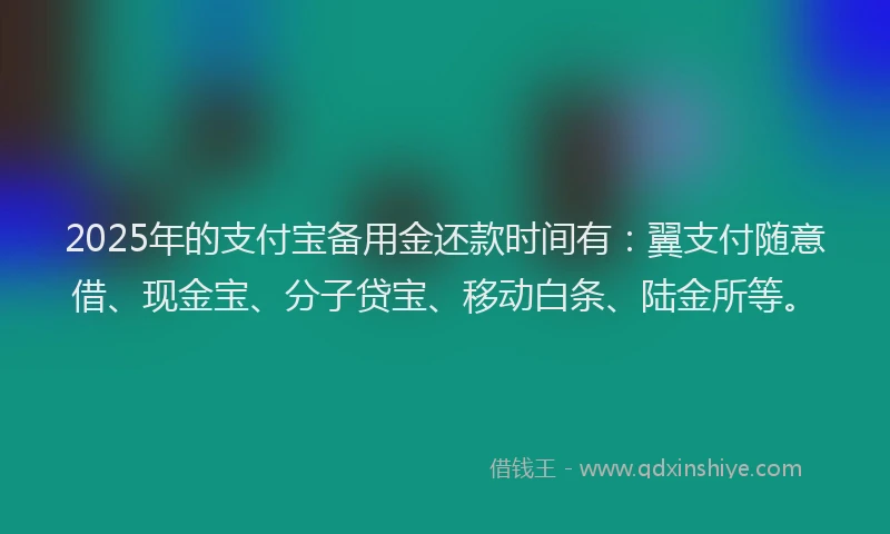 2025年的支付宝备用金还款时间有：翼支付随意借、现金宝、分子贷宝、移动白条、陆金所等。