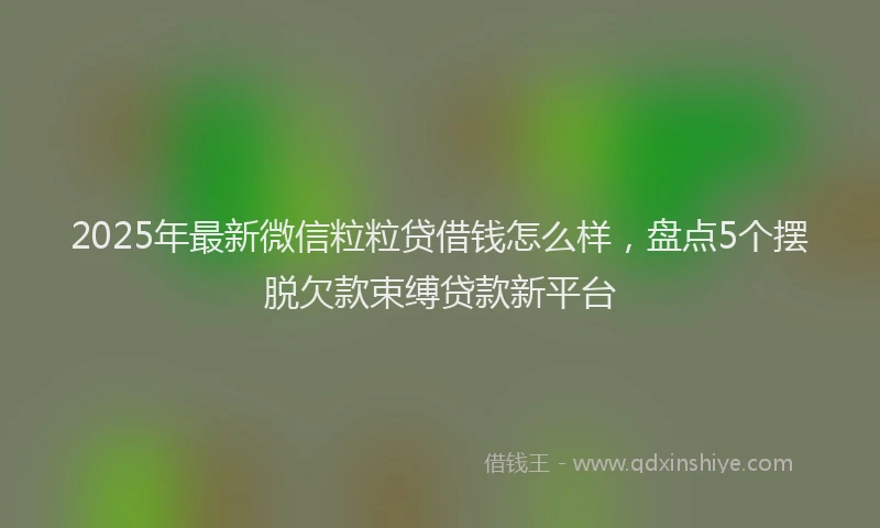 2025年最新微信粒粒贷借钱怎么样，盘点5个摆脱欠款束缚贷款新平台