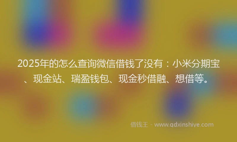2025年的怎么查询微信借钱了没有：小米分期宝、现金站、瑞盈钱包、现金秒借融、想借等。