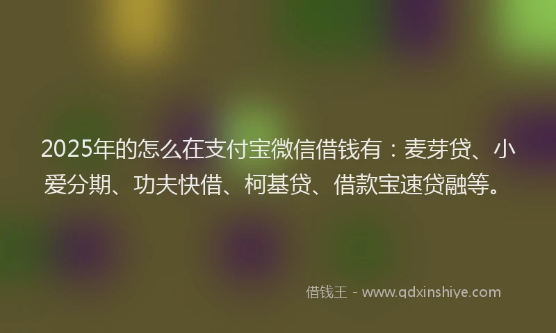 2025年的怎么在支付宝微信借钱有：麦芽贷、小爱分期、功夫快借、柯基贷、借款宝速贷融等。