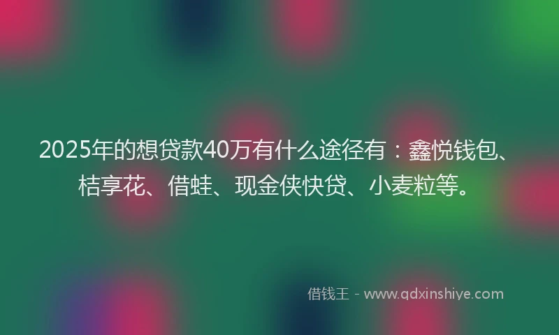 2025年的想贷款40万有什么途径有：鑫悦钱包、桔享花、借蛙、现金侠快贷、小麦粒等。