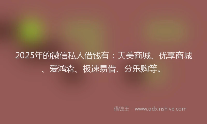 2025年的微信私人借钱有：天美商城、优享商城、爱鸿森、极速易借、分乐购等。