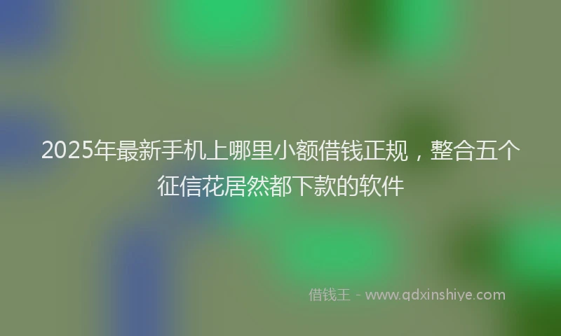 2025年最新手机上哪里小额借钱正规，整合五个征信花居然都下款的软件