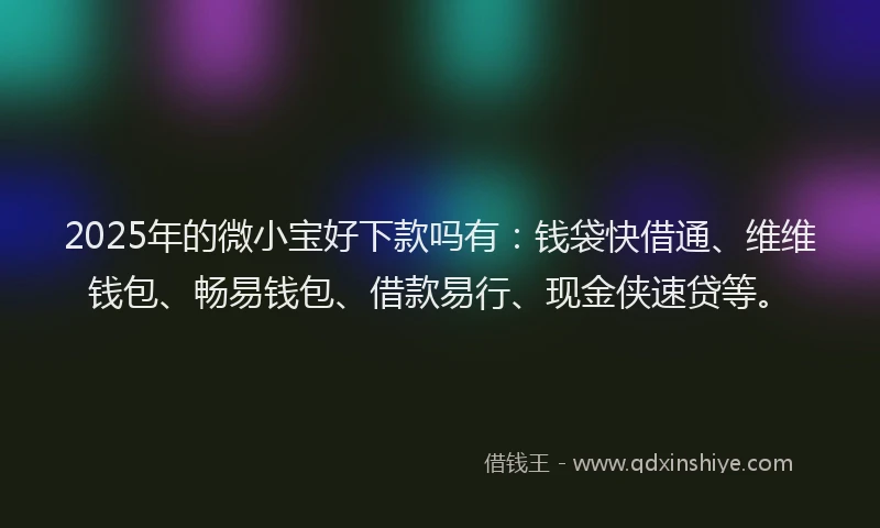 2025年的微小宝好下款吗有：钱袋快借通、维维钱包、畅易钱包、借款易行、现金侠速贷等。