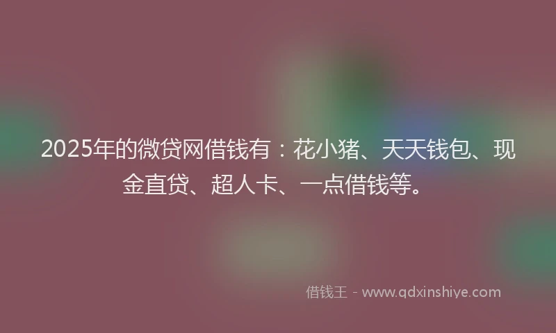 2025年的微贷网借钱有：花小猪、天天钱包、现金直贷、超人卡、一点借钱等。