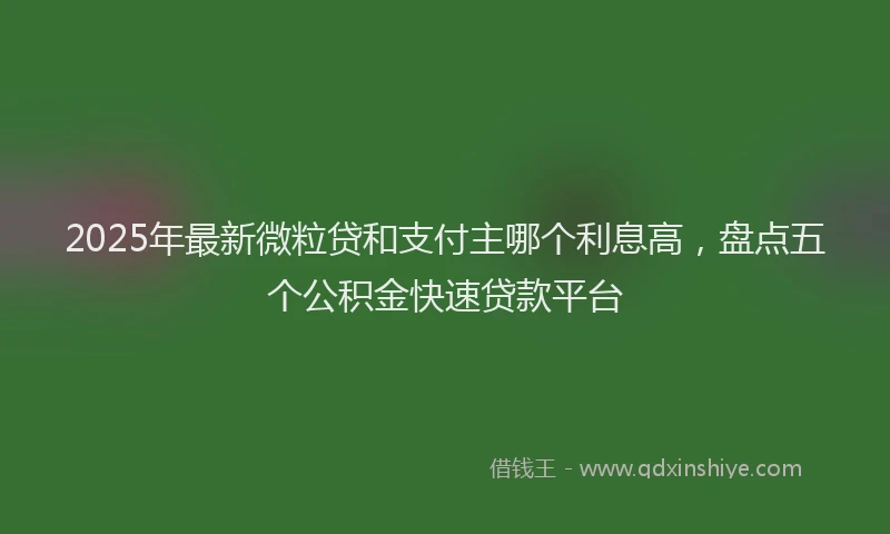 2025年最新微粒贷和支付主哪个利息高，盘点五个公积金快速贷款平台