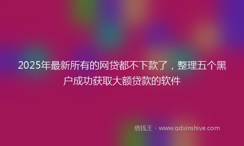 2025年最新所有的网贷都不下款了，整理五个黑户成功获取大额贷款的软件